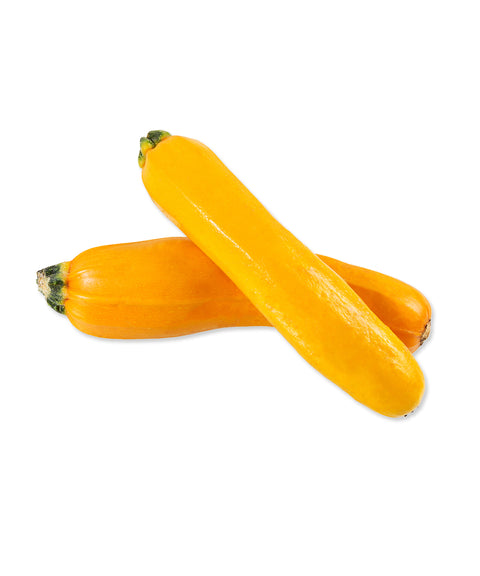 Yellow Zucchini