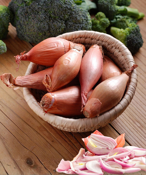 Banana Shallots (Echalion)