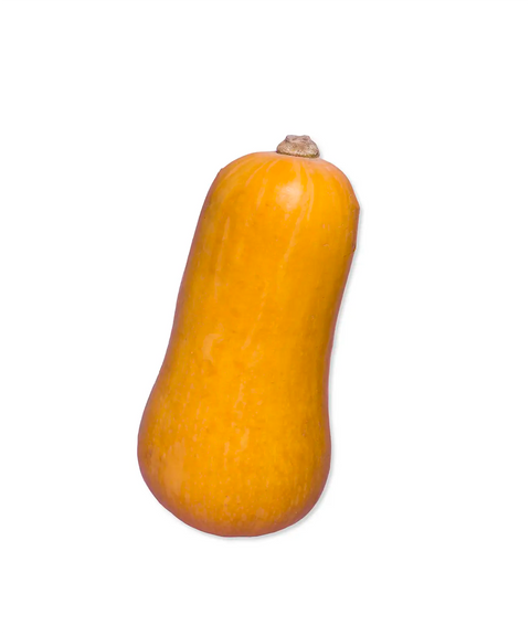 Butternut Pumpkin