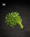 Fresh chervil bunch on a black background