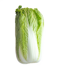 Chinese Cabbage (Wong Bok)