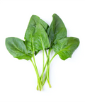 Chinese Spinach