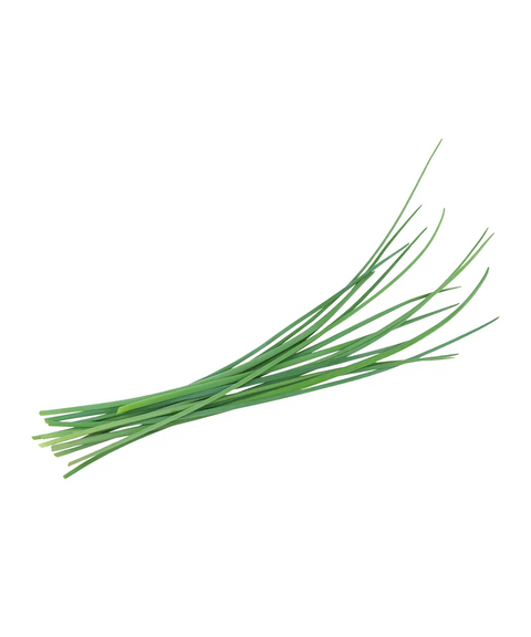 Chives | Herb