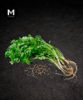 Coriander Leaf | Mmmm Singapore