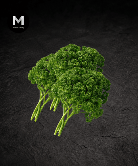 English Curly Parsley