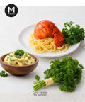 Plate of spaghetti with a lobster tail garnished with Curly Parsley, bowl of mashed potatoes garnished with some curly parsley, and curly parsley on a white surface. 