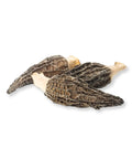 Dried Morel Mushrooms