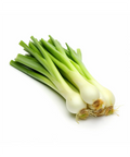 European Baby Leek