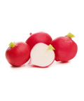 European Red Baby Radish