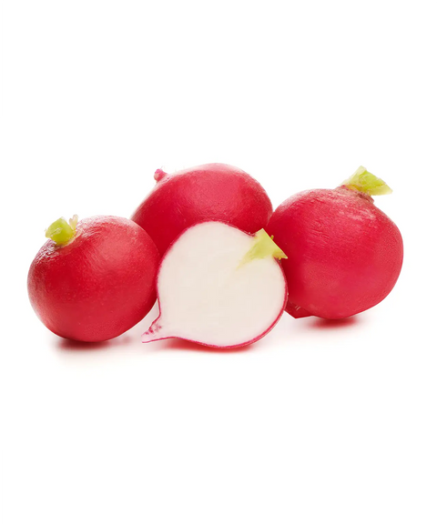 European Red Baby Radish