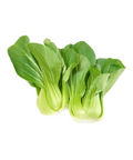 Baby Shanghai Green Baby Bok Choy