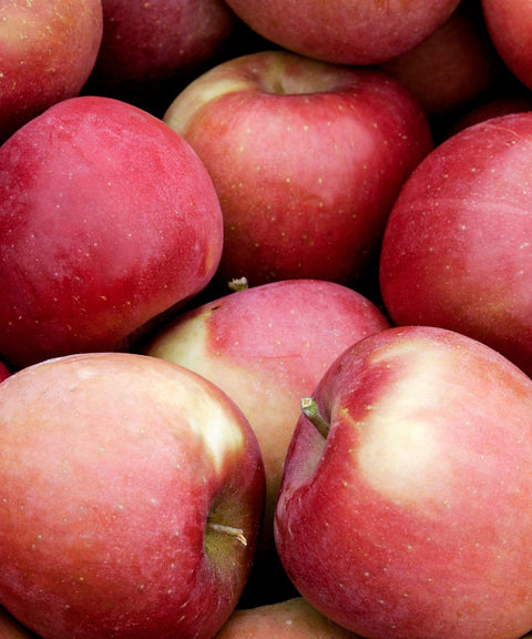 Fuji Apples