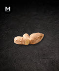 Old Ginger root, whole and halved, on black background