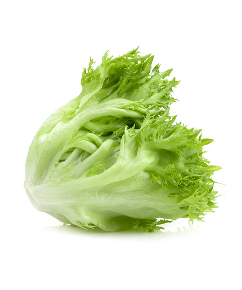 Iceberg Lettuce