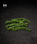 Fresh green peppercorn clusters on a black background