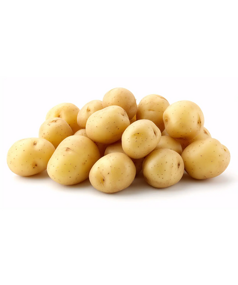 Ratte Grenailles Potatoes