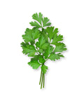 Italian Flat Parsley | Herb