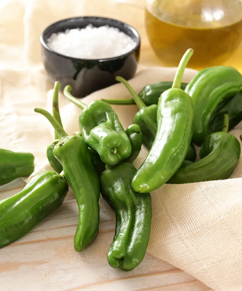 Japanese Shishito Pepper