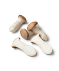 King Oyster Mushroom