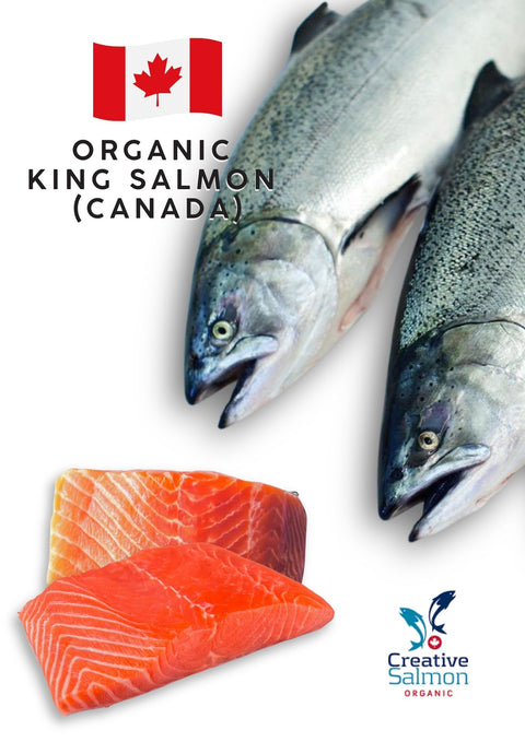 Canadian Organic King Salmon Fillet