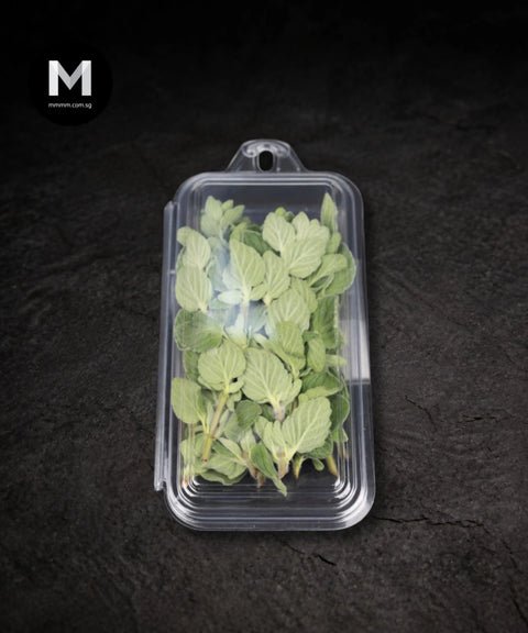 Fresh marjoram shown in retail packaging