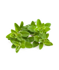 Marjoram | Herb