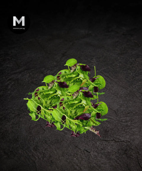 Mesclun Mix Salad (125g per pack)