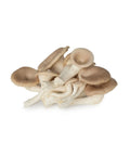 Petite Oyster Mushroom