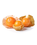 Physalis/Ground Cherry