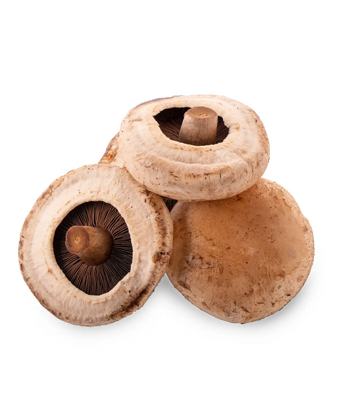 Portobello Mushroom