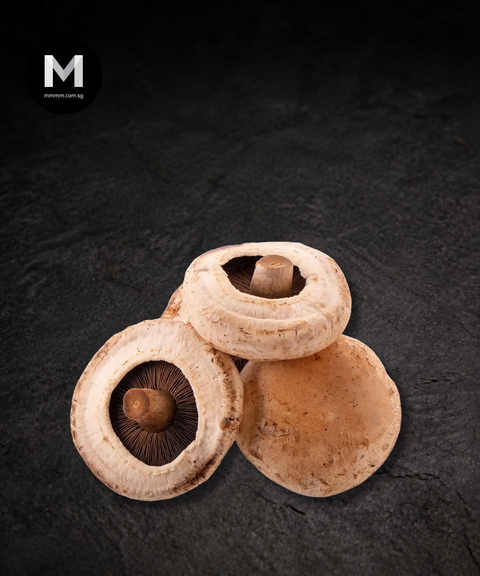 Portobello Mushroom