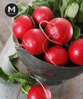 Fresh European Red Baby Radish with green stems in a dark bowl