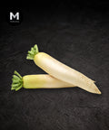 White Radish (Daikon), two whole roots on black background