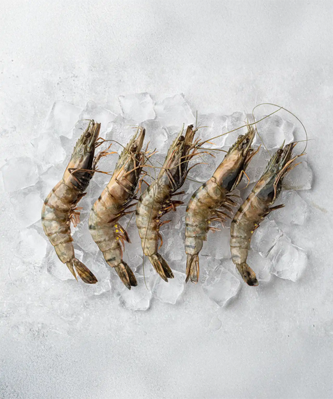 Raw Black Tiger Prawns