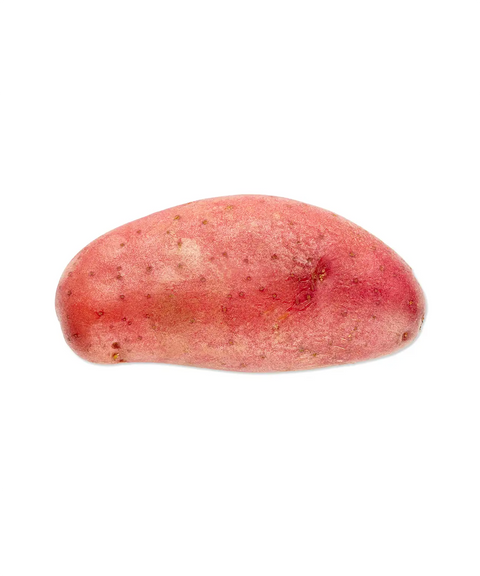 Red Skin Potato