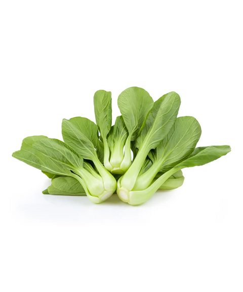 Shanghai Green Bok Choy