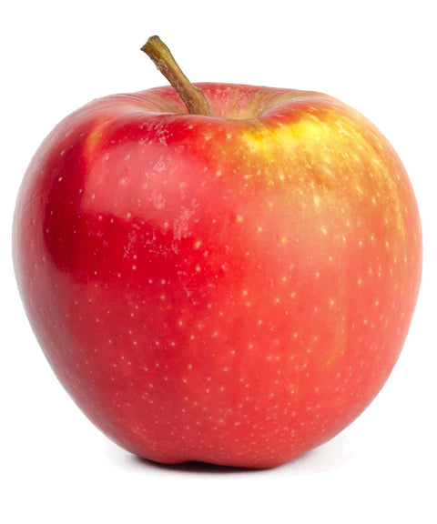 Snow Apple