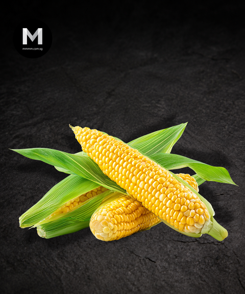 Fresh Sweet Corn