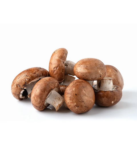 Swiss Brown Mushroom