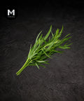 Fresh tarragon sprigs on a black background