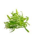 Tarragon | Herb