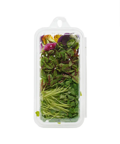 The Huat Cress Microgreens