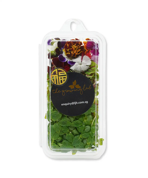 The Huat Cress Microgreens