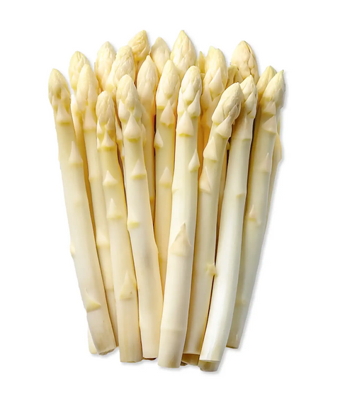 White Asparagus