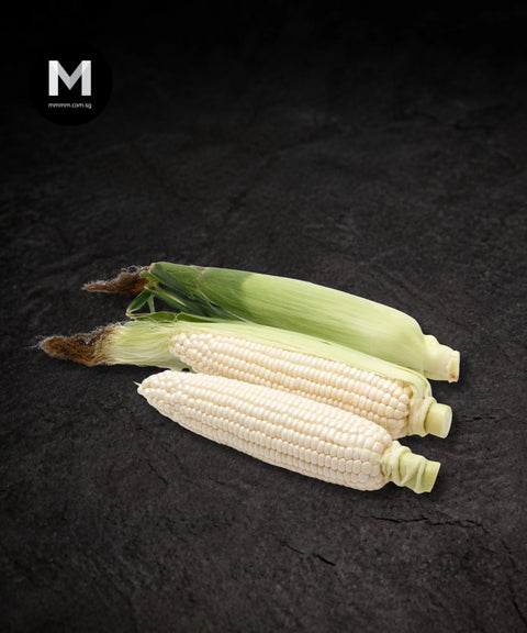 Japanese Pearl Corn (1 pc)