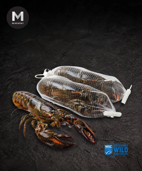 Canadian Lobster Whole (400-500g, UHP Frozen)