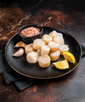 Wild Caught Scallops