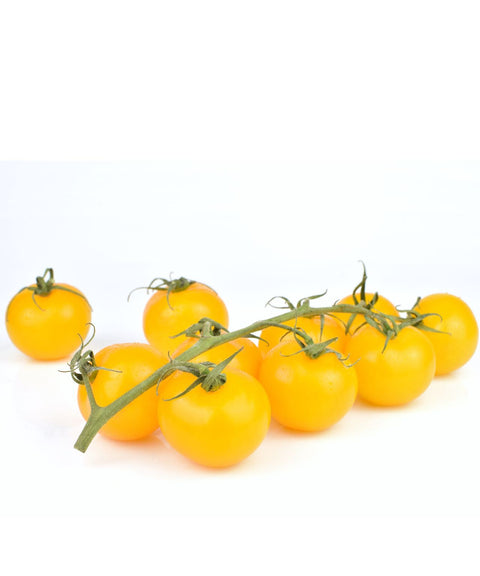 Yellow Tomberry Tomatoes